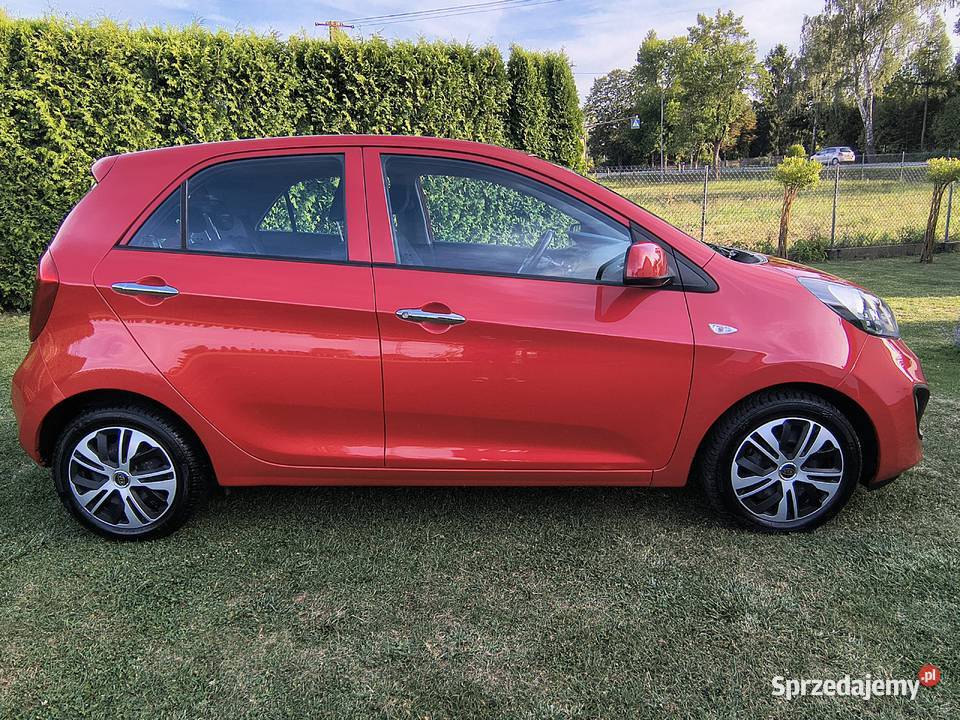 Kia Picanto Benzyna 10 Mega kolor zadbany Kia