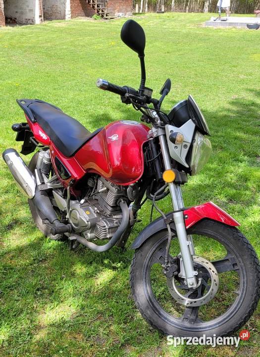 ZIP TAYO 125 metalic lubuskie Sierczynek