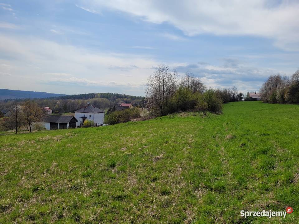 Widokowa działka budowlana gm Alwernia GROJEC 6318m2