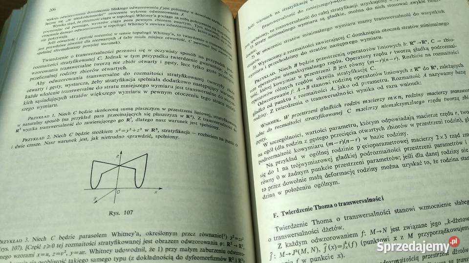 Teoria równań różniczkowych WI Arnold Kultura i Rozrywka Gdańsk