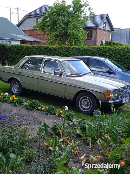 Solidny warty obejrzenia W123 Ostrów Lubelski sprzedam