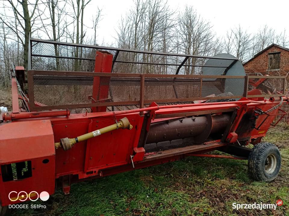 Heder do słonecznika massey ferguson 34 32 36 Zbożowe Lublin