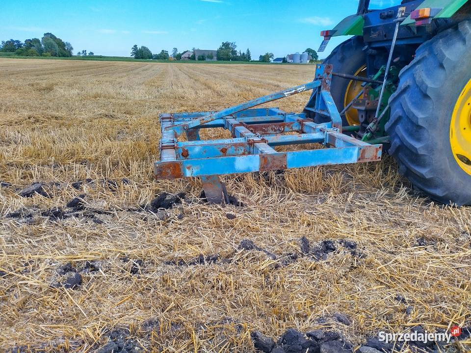 Głębosz 3łapy ORYGINAŁ Wola Bachorna sprzedam