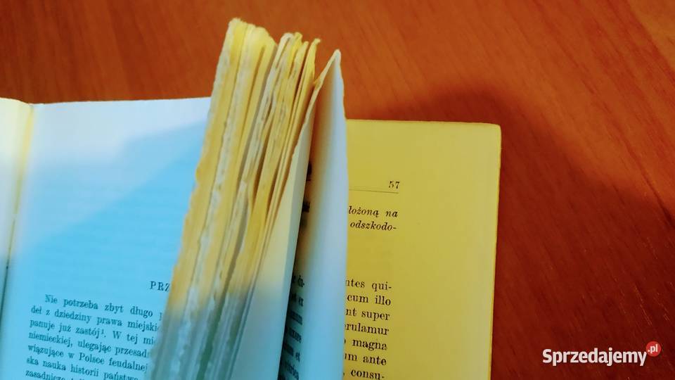 Ortyle sądów wyższych miast wielkopolskich z XV Gdańsk