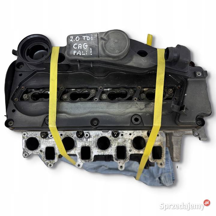 SILNIK CAG CAGA Audi A4 B8 Q5 8R A5 8T Seat Exeo Chełm
