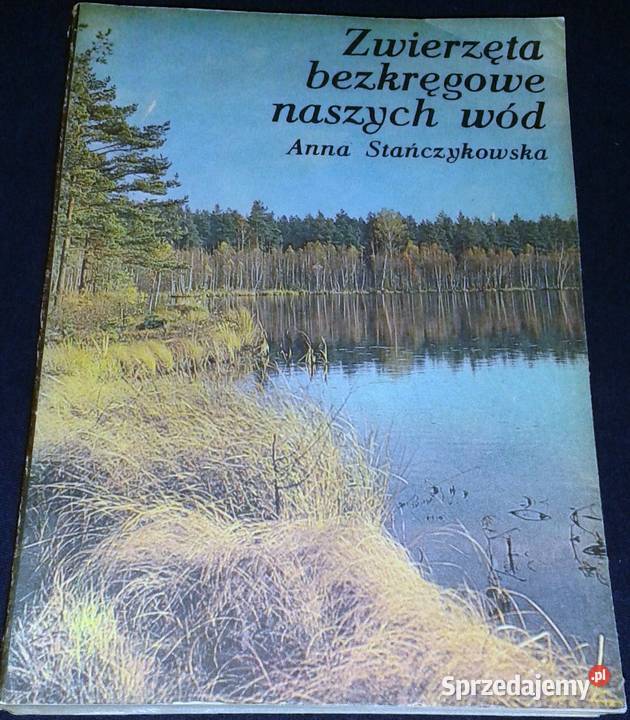 Zwierzęta bezkręgowe naszych wód Anna Chełm sprzedam