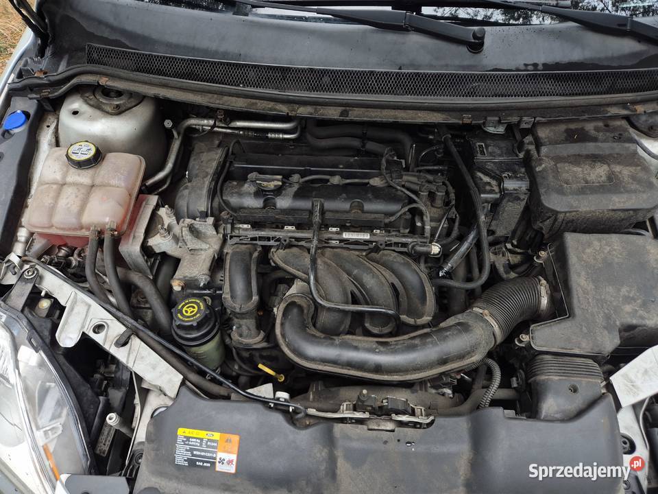 Ford Focus 16 Super stan Nowy olej rozrząd i 101KM łódzkie Skierniewice