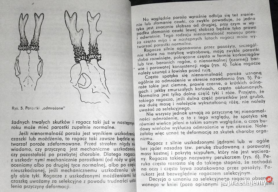 Podręcznik selekcjonera zwierzyny Tadeusz Chełm sprzedam