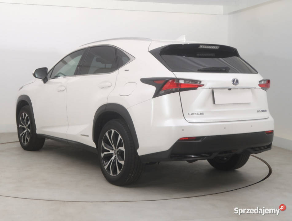 Lexus NX 300h klimatyzacja dolnośląskie