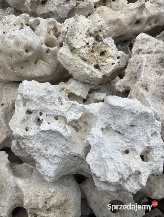 WAPIEŃ FILIPIŃSKI Biała Skała do Akwarium Malawi sprzedam