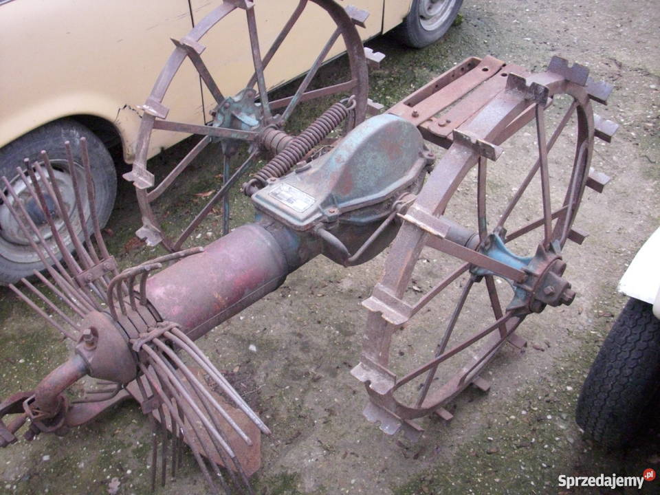 1963 Piękna ozdoba ogroduZabytkowa kopaczka zachodniopomorskie Barlinek sprzedam