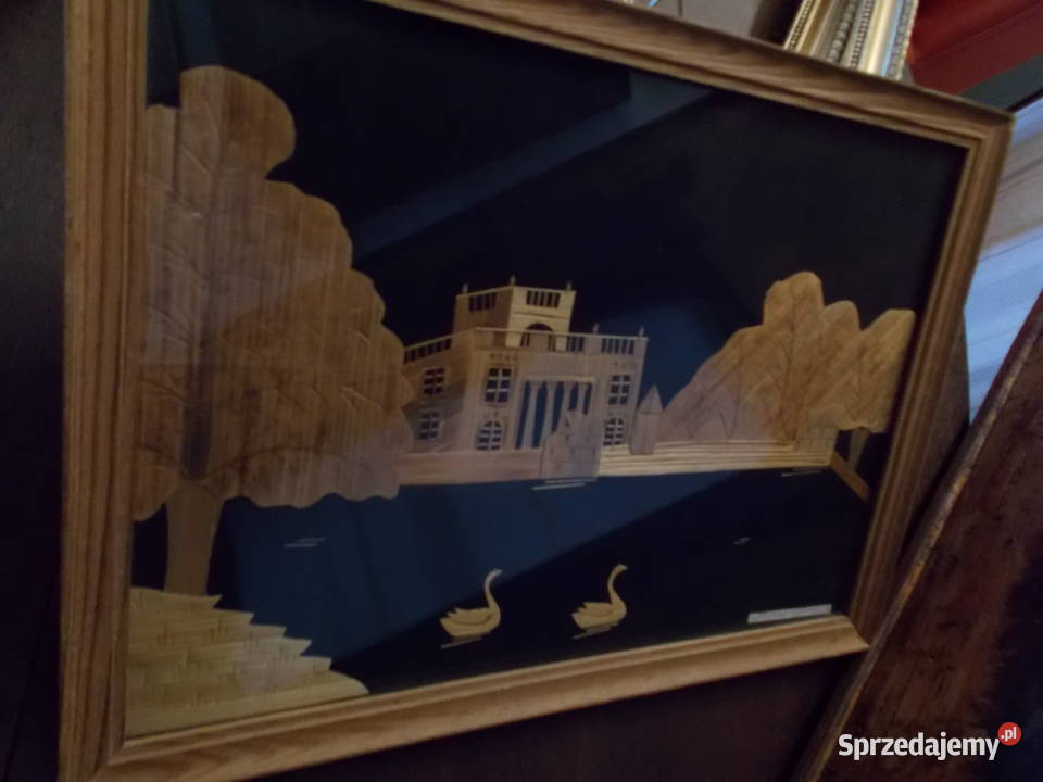 Obraz Warszawa Łazienki Prasowana Słoma PRL zachodniopomorskie Szczecin sprzedam