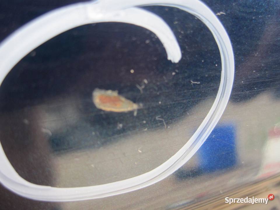 BMW E38 LIFT 01r drzwi lewe tył osobowe świętokrzyskie sprzedam