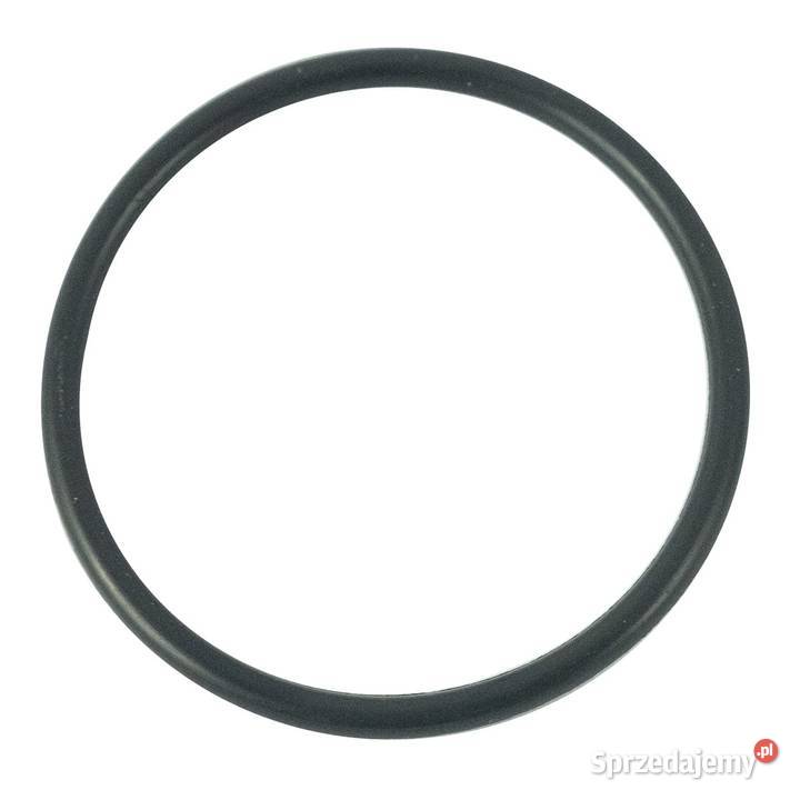 Oring 2950 x 200 mm LS MT335 LS MT340 S804030010 Silnik i osprzęt Tajęcina