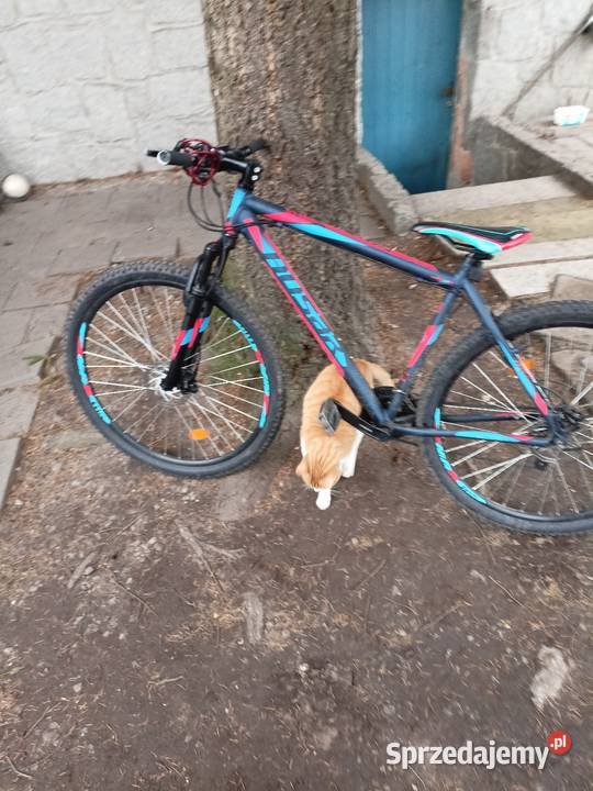 Rower MTB 29 Górskie, MTB