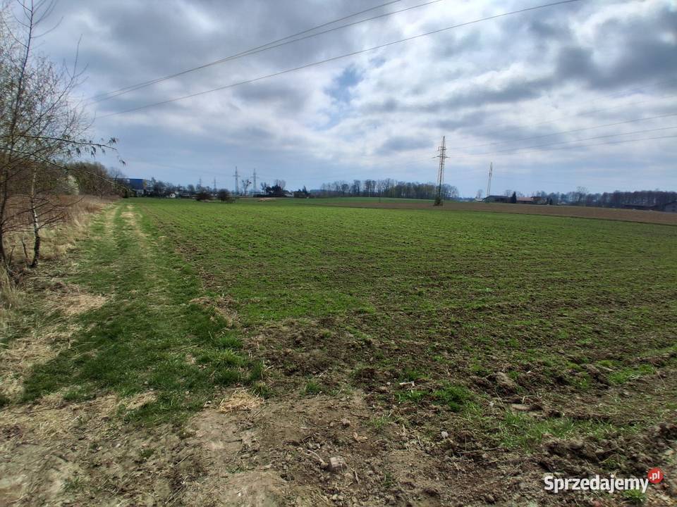 Inwestora Panattoni Park Żory dojazd asfaltowy prąd
