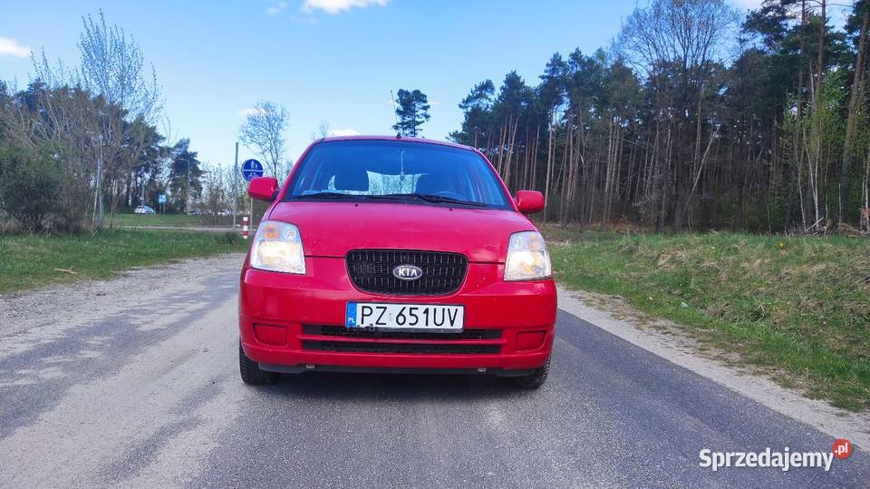 Kia Picanto 2006 r 10 benzyna Chodzież