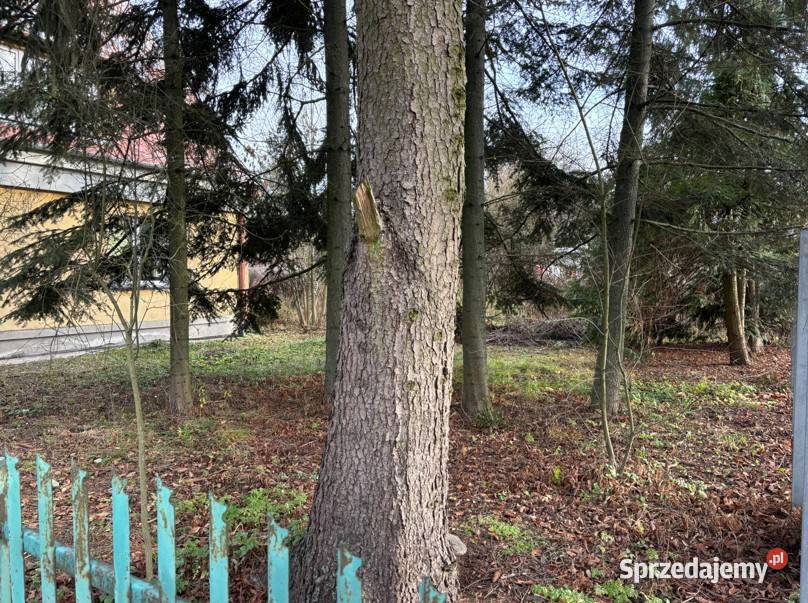 Mieszkanie 7908 m2 z ogrodem 603 m w Ostrowi cegła Ostrów Mazowiecka