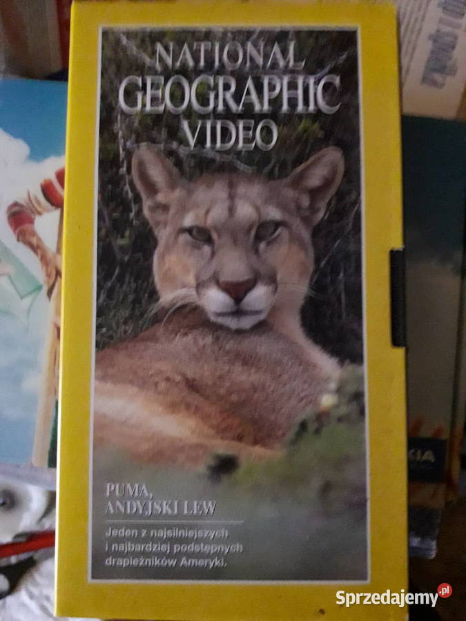Zestaw National Geographic Video kasety 4x 3 i więcej Warszawa
