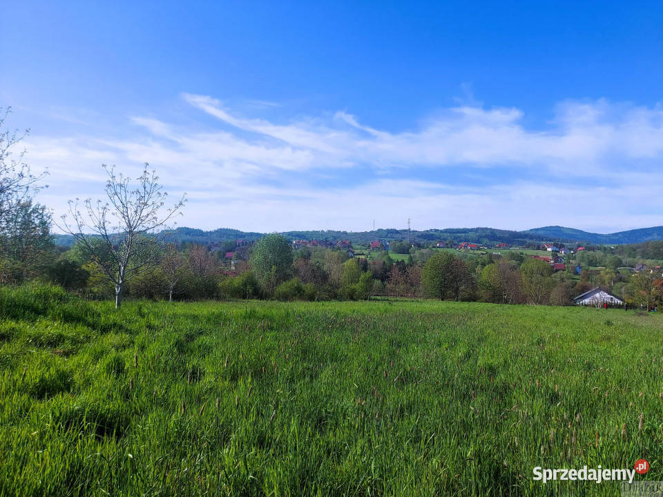 sprzedaży działki 1287m2 Mucharz 1287m2
