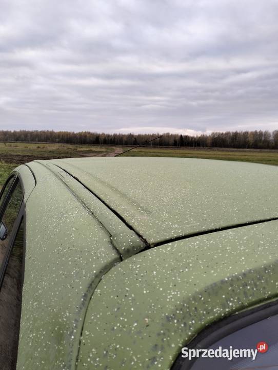 Renault scenic Tarnów