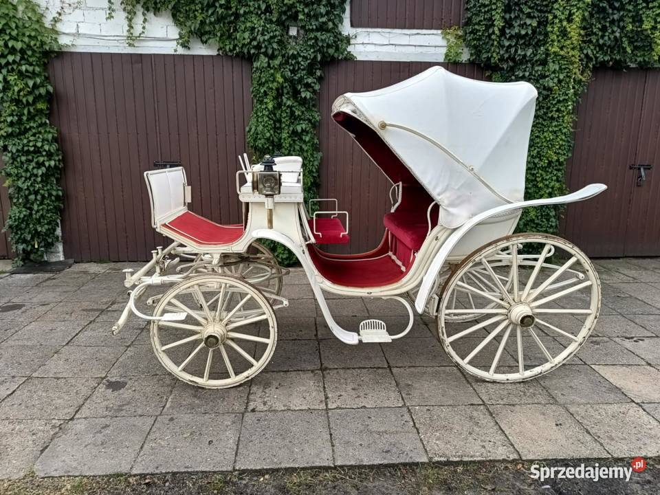 Powóz Konny Milord Bryczka łódzkie Dobroń sprzedam