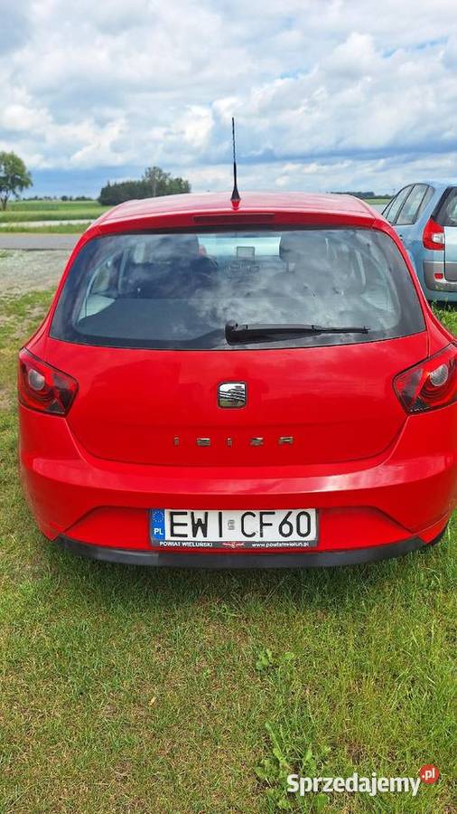 Seat Ibiza garażowany Raczyn
