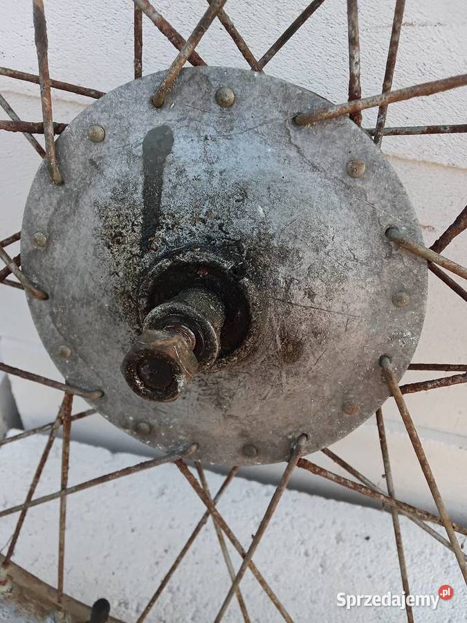 Koło Żak Ryś warmińsko-mazurskie Milejewo