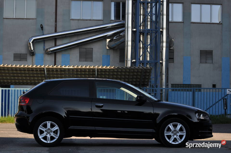 Audi a3 8p LIFT 2010 16 mpi 102 Ładny Stan