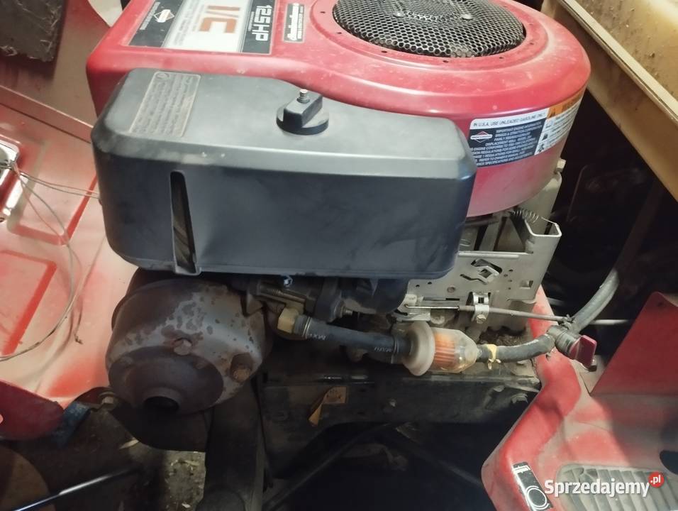 Silnik briggs 12hp Niemojki