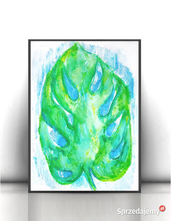 monstera rysunek A4 monstera obraz 21x30 liść odcienie zieleni Łódź