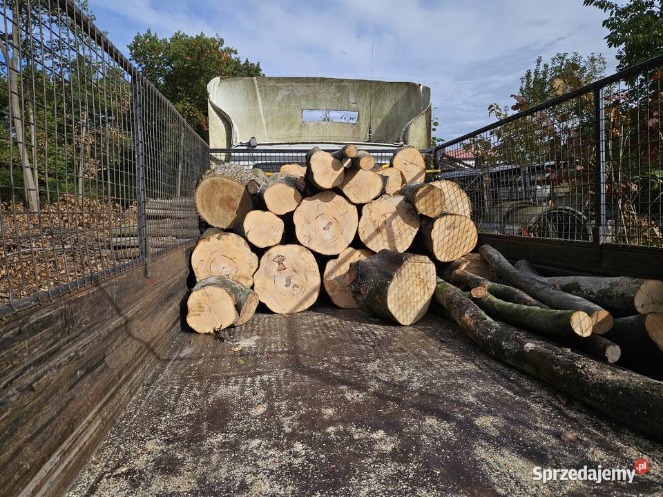 Drewno opałowe BukJesion śląskie