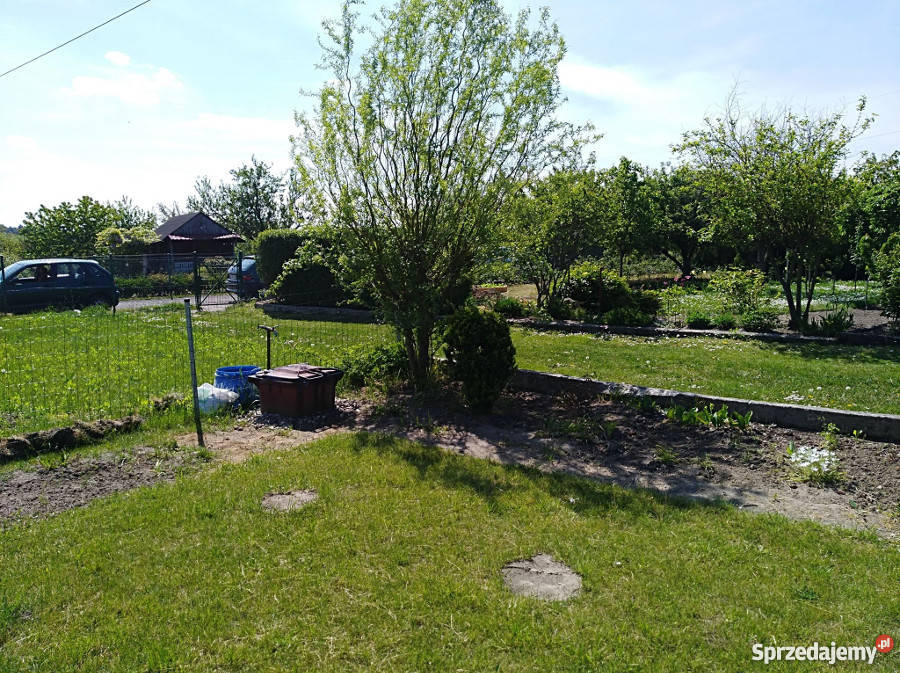 Działka ROD Gorzów Wlkp Gorzów Wielkopolski