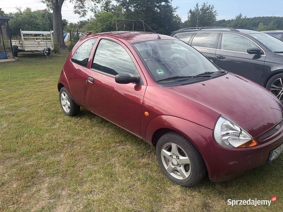 Ford Ka klima Drezdenko sprzedam