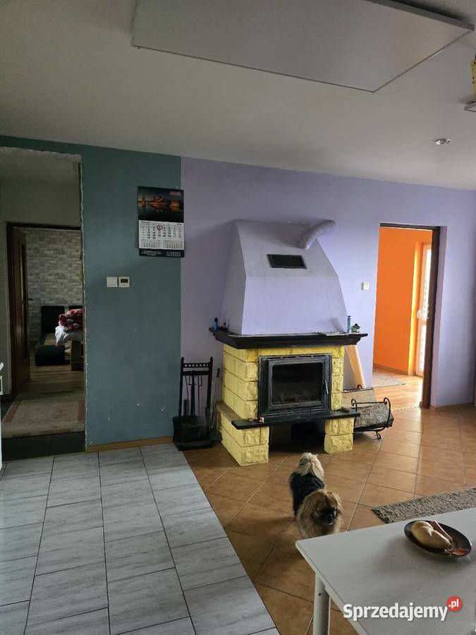 Dom w ciszy I zieleni łódzkie Kutno
