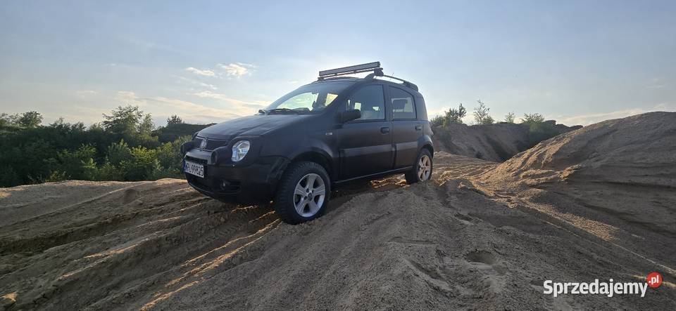 Panda 4x4 Cross Kępa Polska