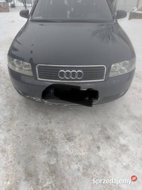 Audi A4B6 Wilkasy
