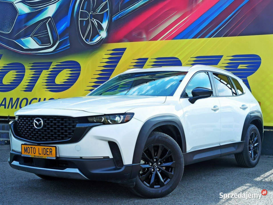 25 benzyna 225 Zarejestrowana Pozostałe Rzeszów