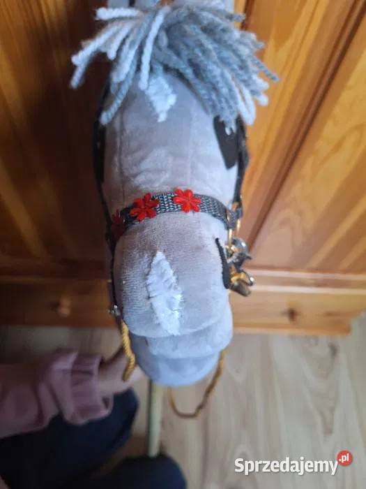 Hobby horsstan idealny Połajewo
