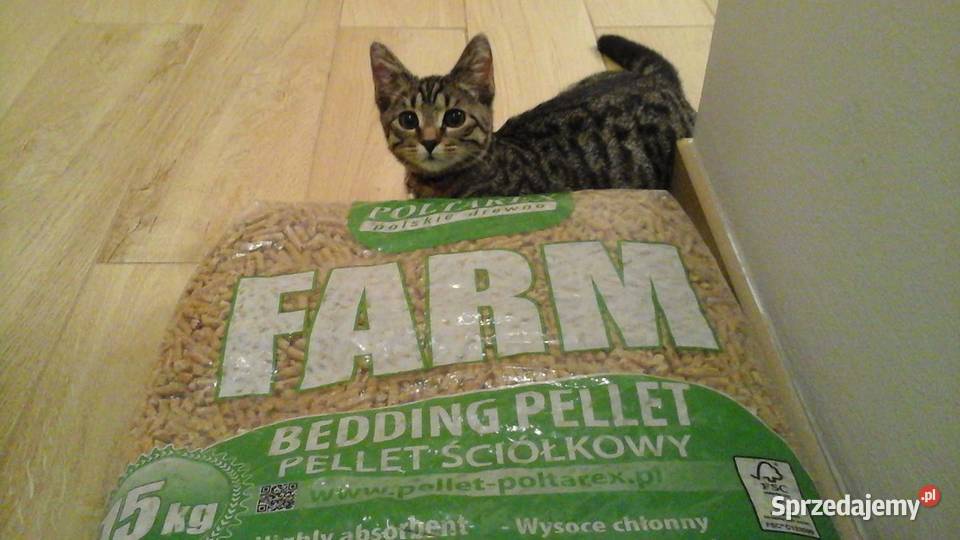 Pellet Farm Żwirek zwierząt Worek 15 Wysyłka Gościno sprzedam