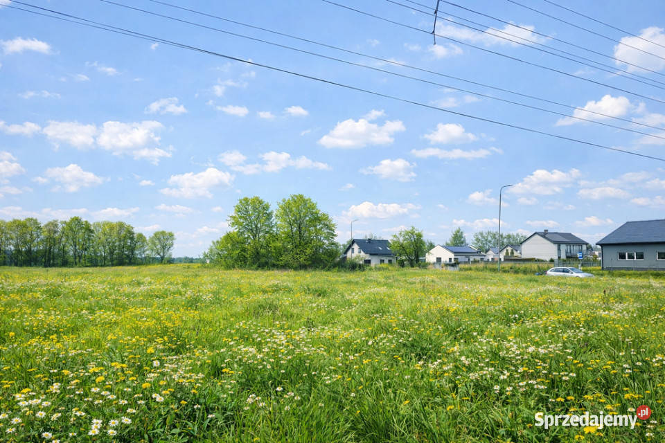 Działka budowlana Przęsocin Sprzedaż