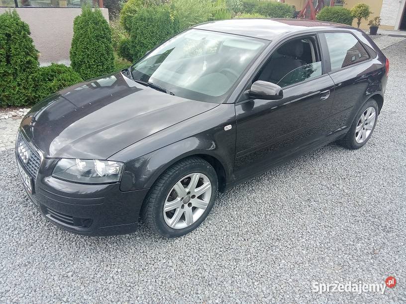 Audi a3 lift 2005 diesel Samochody osobowe Pieszyce sprzedam