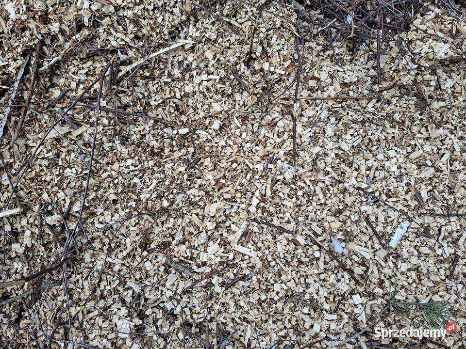 Sprzedam zrębki drewniane Warka