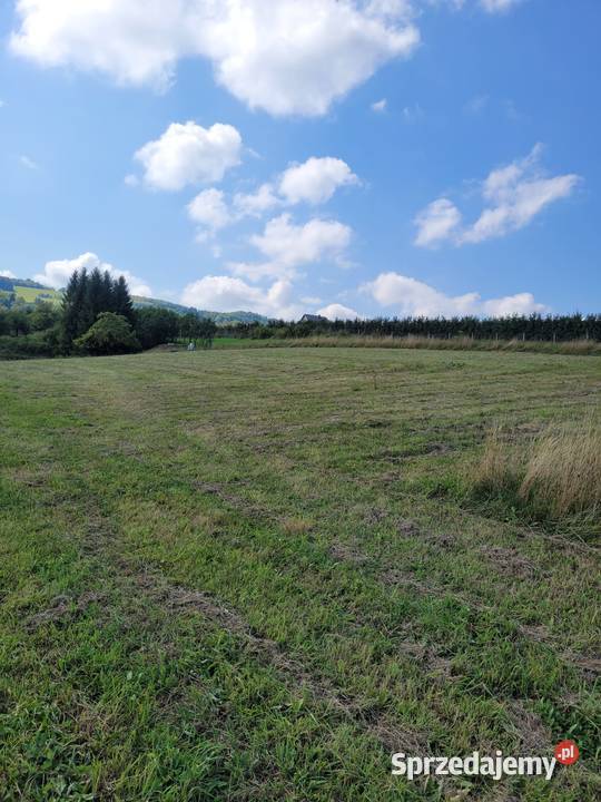 Działka budowlana 30a Zagorzyn gmina Łącko 3000m2 małopolskie
