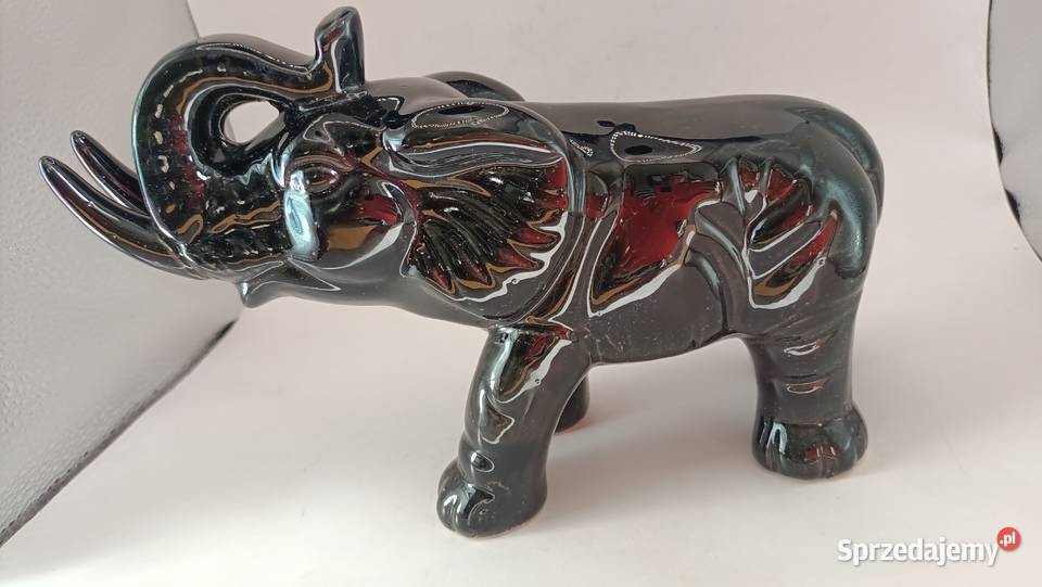 Duży czarny słoń z trąbą do góry i krocząca lubelskie Zamość