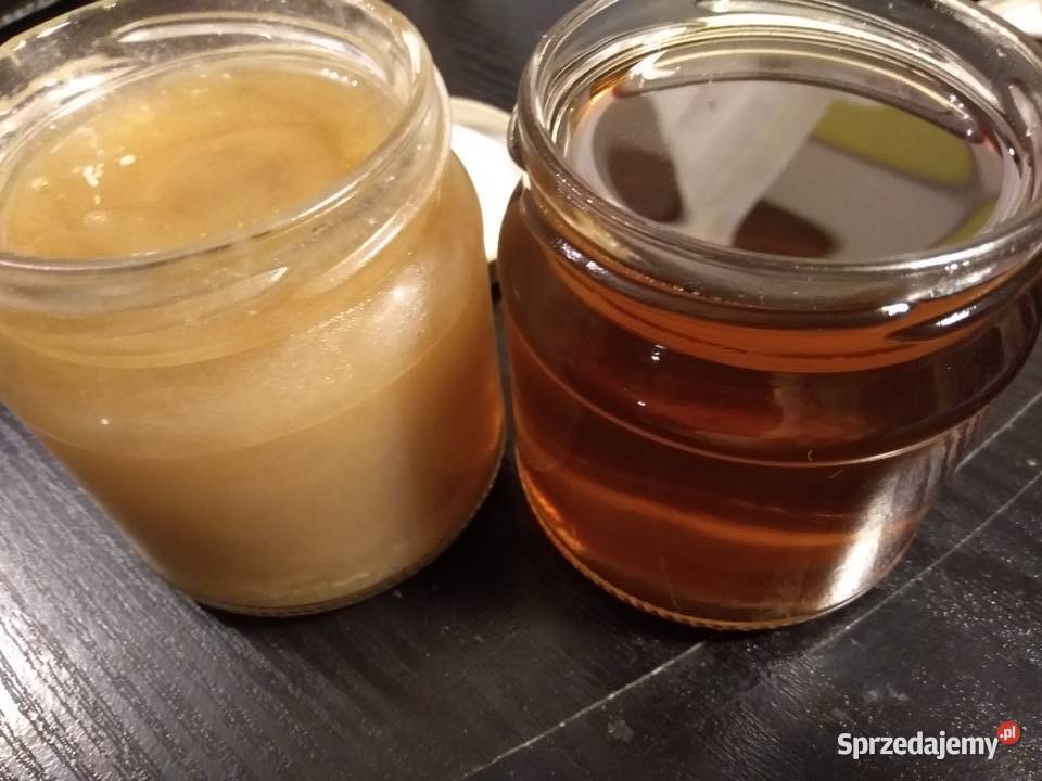 Matki pszczele HYG Odpornę na Warrozę Buckfast Warszawa