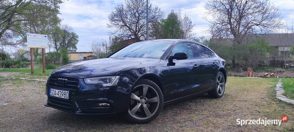 BLACK A5 SPORTBACK 20 TDI 190 BIXENON RADAR 2 Suchy Dąb sprzedam