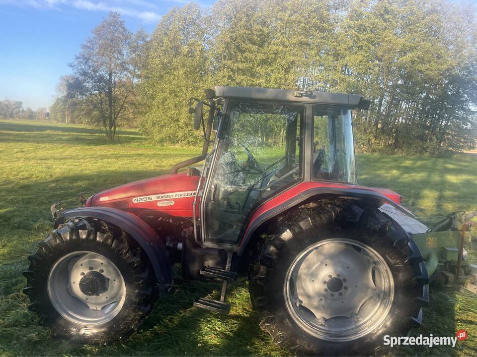 Massey Ferguson 4255 łódzkie Góra Bałdrzychowska sprzedam