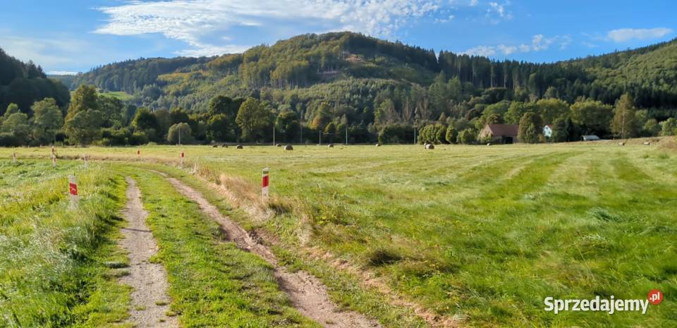 Działki rolne pod lasem Błażkowa S3