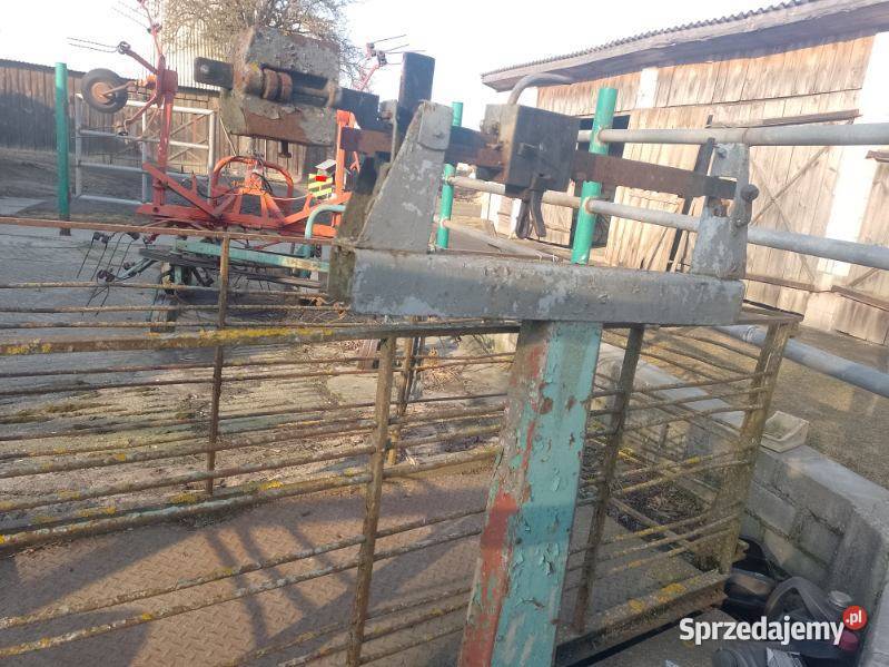 Waga inwentarzowa Radzyń Podlaski